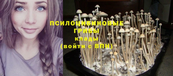 марки nbome Зерноград