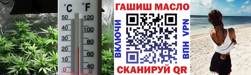 Купить закладки  Бологое  ТГК вейп 