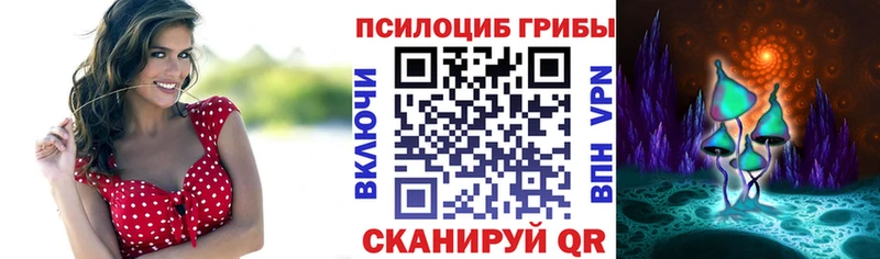Псилоцибиновые грибы Psilocybine cubensis  Купить закладки  Бологое 